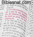 Link to Bibles Free.org