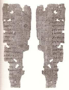 Papyrus